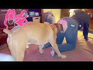 Sex with her dog lover at home BestialitySexTaboo Bestiality  