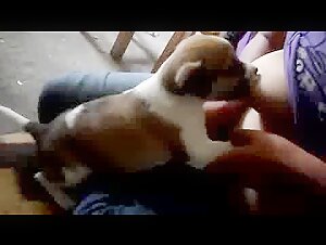 Breastfeeding Puppy 2 - BestialitySexTaboo -  Bestiality Sex Taboo