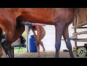 horse BestialitySexTaboo Bestiality Sex Taboo 