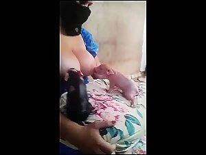 Breastfeeding pigs-BestialitySexTaboo -  Bestiality Sex Taboo